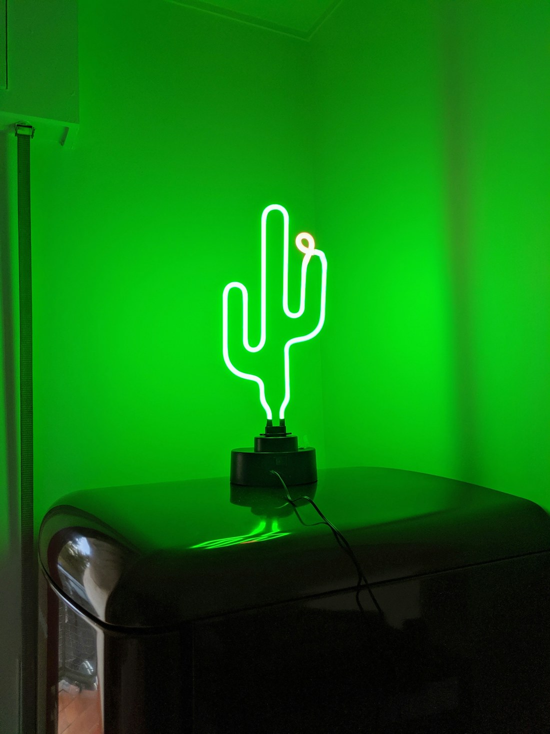 Cactus Neon Mood Light